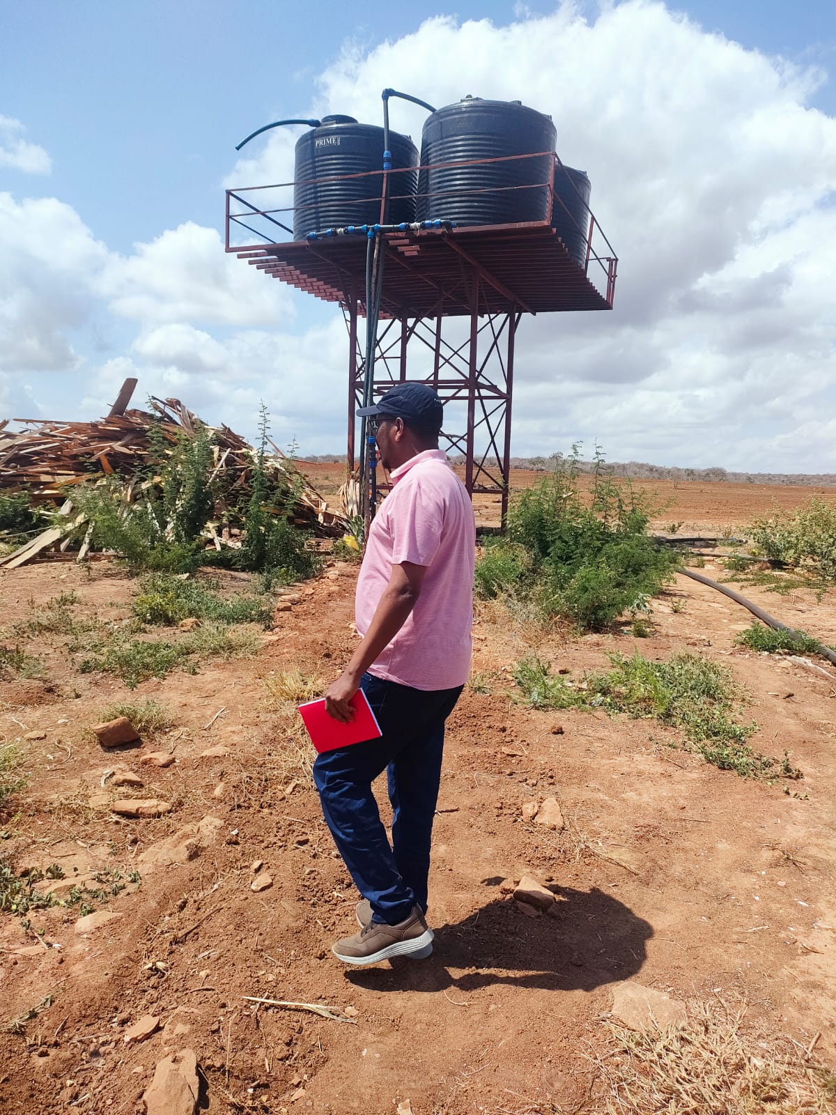 Water, Sanitation and Hygiene (WASH)