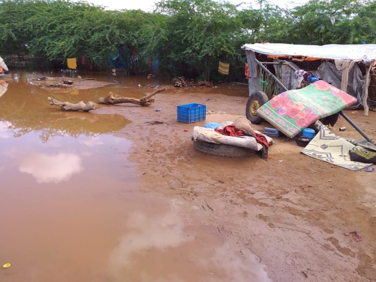 Environmental Protection & Climate Change