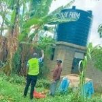 Water, Sanitation and Hygiene (WASH)