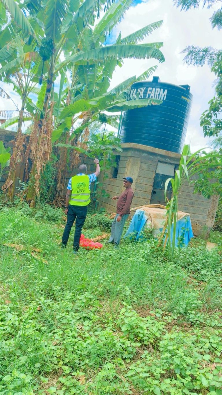 Water, Sanitation and Hygiene (WASH)